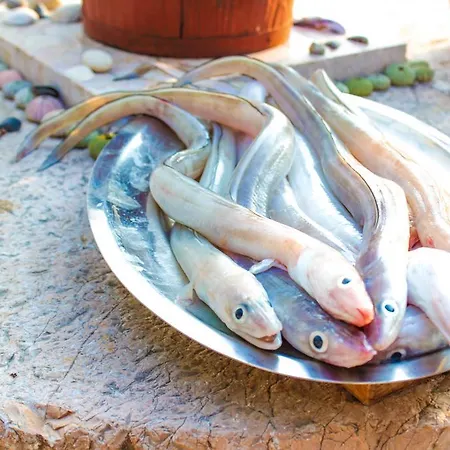 Apartamento Lola's Tribalj