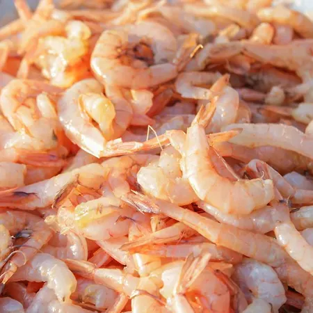 Lola's Apartamento Tribalj