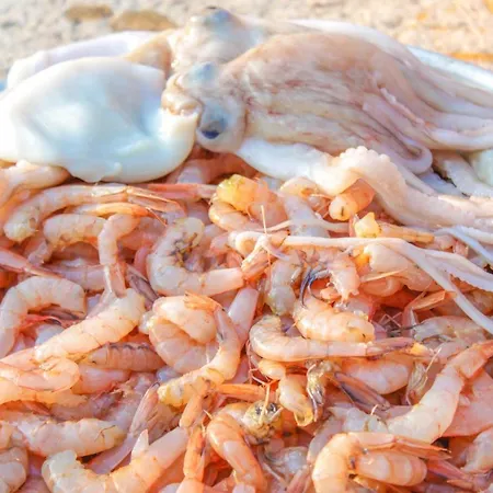 Lola's Apartamento *