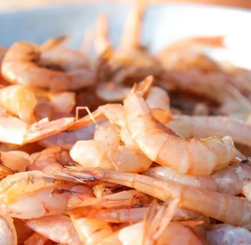 萝拉公寓 公寓 *