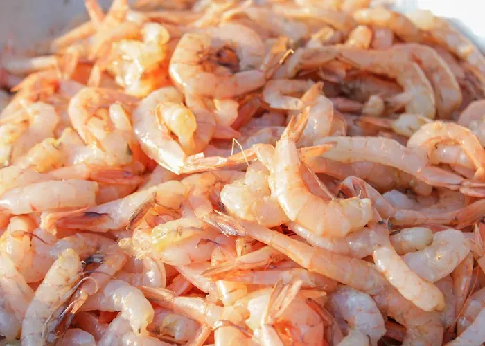 萝拉公寓 公寓 Tribalj